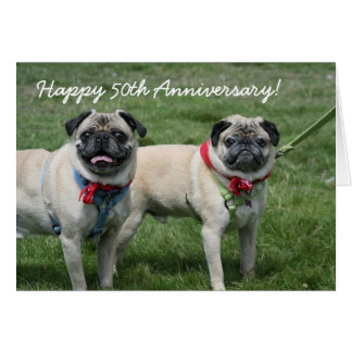 Happy 50th Anniversary pug greeting card