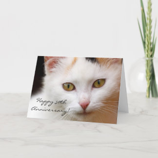 Happy 50th Anniversary White cat greeting card