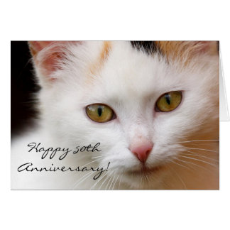 Happy 50th Anniversary White cat greeting card