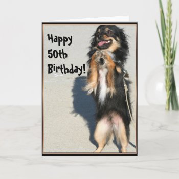 Happy 50th Birthday Chihuahua Greeting Card by ritmoboxer at Zazzle