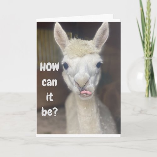 HAPPY 50th  BIRTHDAY from WIDE EYED LLAMA Card