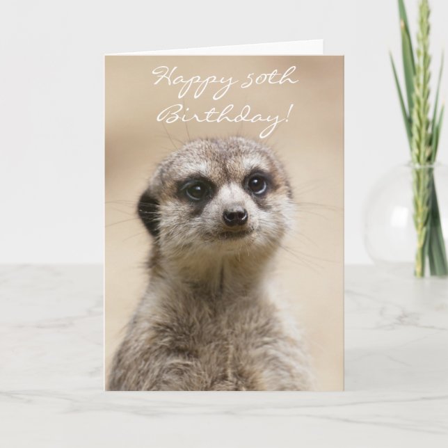 Happy 50th Birthday Meerkat greeting card (Front)