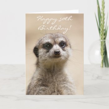 Happy 50th Birthday Meerkat Greeting Card by pdphoto at Zazzle