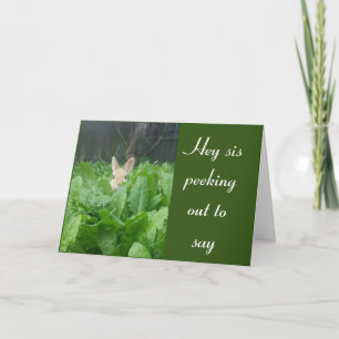 HAPPY **50th** BIRTHDAY ***SISTER*** CARD