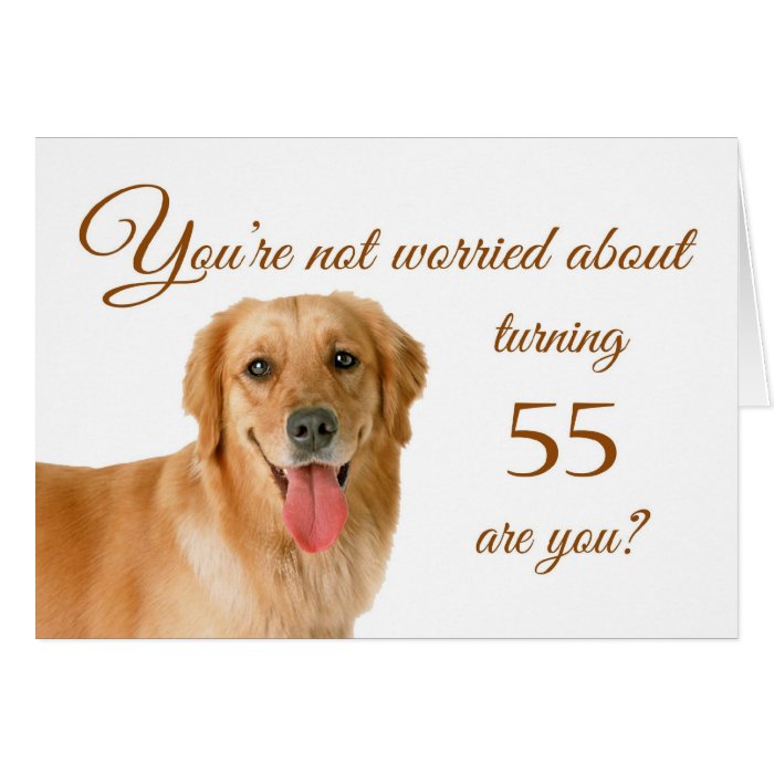 Happy 55th birthday, worried lab greeting card