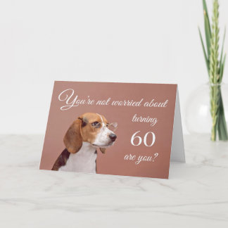 Happy 60th birthday, worried beagle card