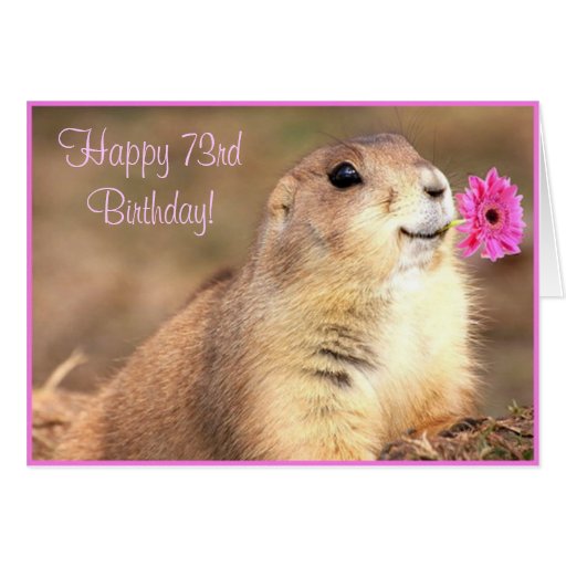 Happy 73rd Birthday Prairie dog greeting card | Zazzle