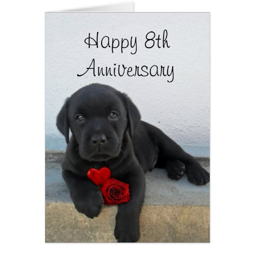 Happy 8th Anniversary Labrador puppy greeting card