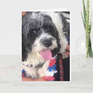 **HAPPY 8th BIRTHDAY** Card