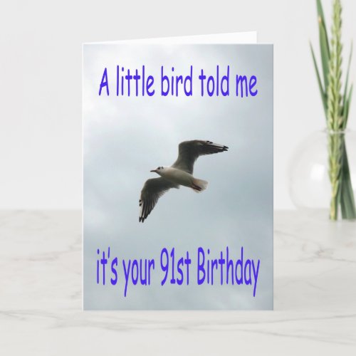 Happy 91st Birthday Flying Seagull bird Card