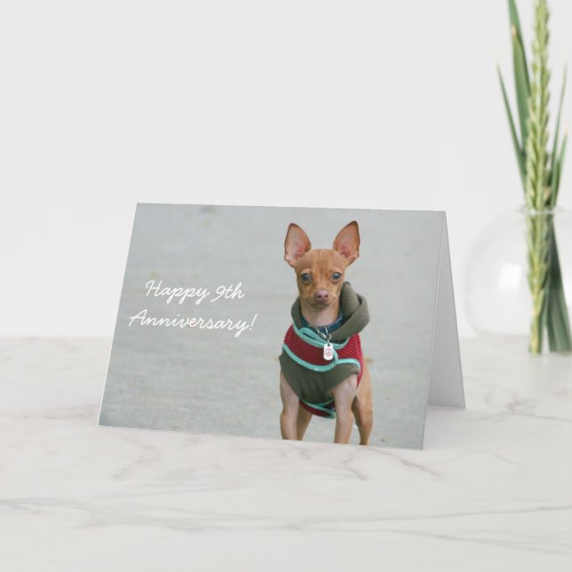 Happy 9th Anniversary chihuahua greeting card (Front)