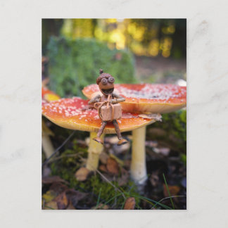 Happy Acorn Elf Birthday Greeting Card