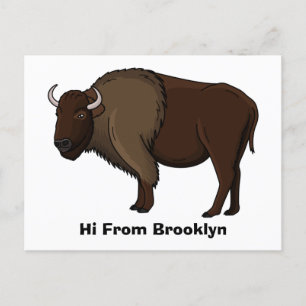 Happy American bison buffalo illustration Postcard