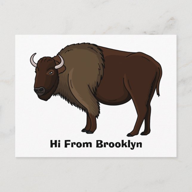 Happy American bison buffalo illustration  Postcard (Front)