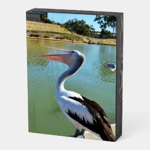 Happy And You Know It: Pelican Singing A Song, Wooden Box Sign