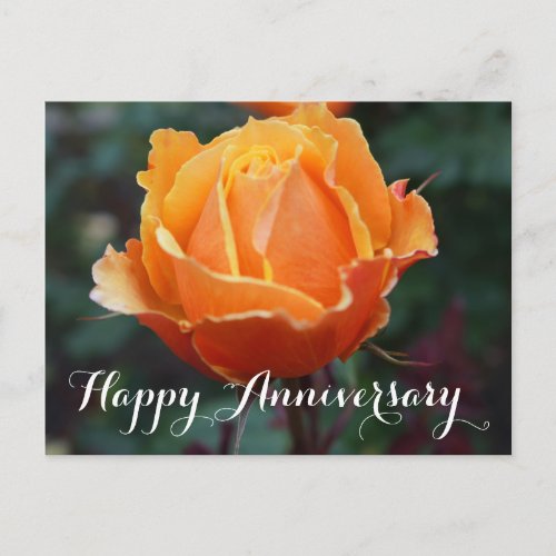 Happy Anniversary About Face Rose 1 Postcard