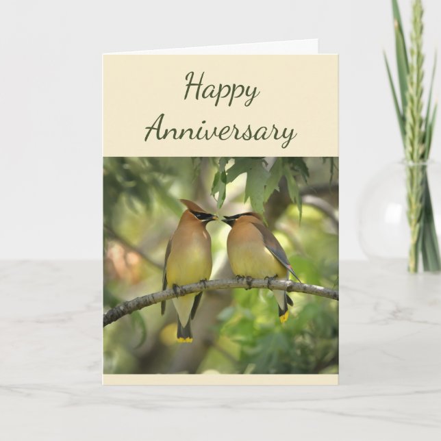 Happy Anniversary Birds in Love Fun  Card (Front)