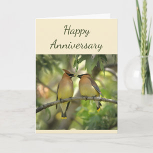 Happy Anniversary Birds in Love Fun  Card