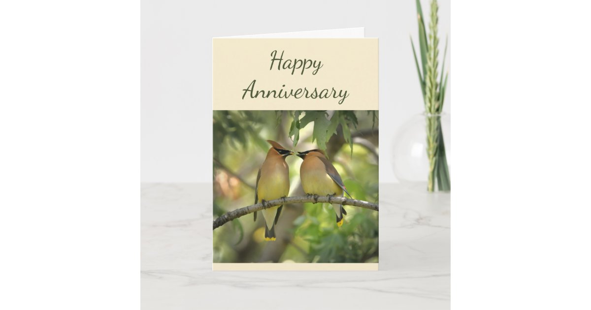 Happy Anniversary Birds in Love Fun Card | Zazzle