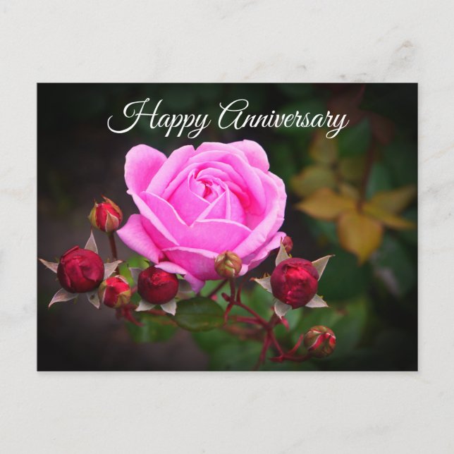 Happy Anniversary Bishop’s Castle Rose #1 Postcard (Front)