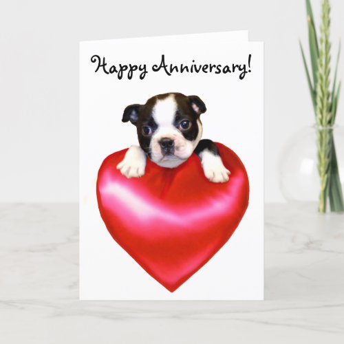 Happy Anniversary Boston Terrier Greeting Card