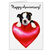 Happy Anniversary Boston Terrier Greeting Card