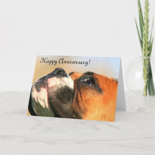 Happy Anniversary Boxer Dog Greeting Card