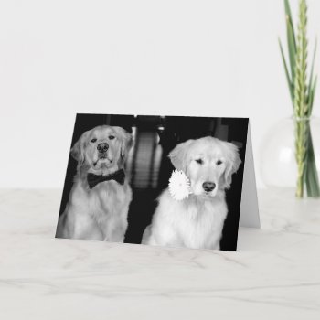 Happy Anniversary! Card by DovetailDesigns at Zazzle