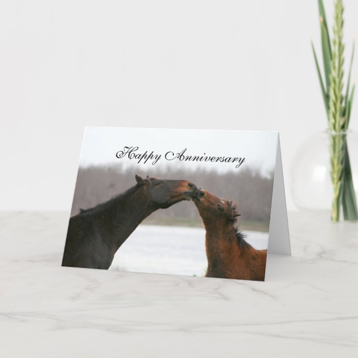 Happy Anniversary Card Kissing Horses Photo Zazzle Com