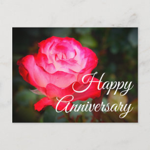 Happy Anniversary Cherry Parfait Rose #3 Postcard