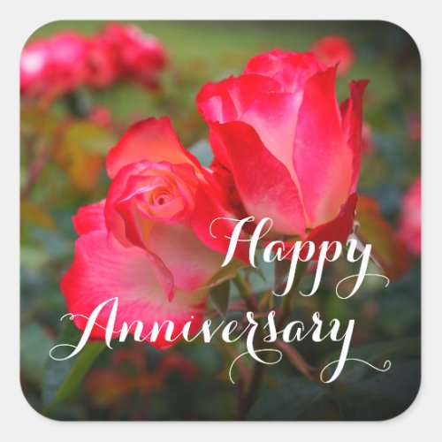 Happy Anniversary Cherry Parfait Rose 4_3 Square  Square Sticker