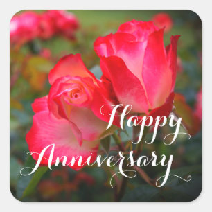 Happy Anniversary Cherry Parfait Rose #4-3 Square Sticker