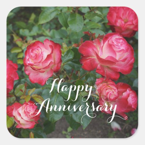 Happy Anniversary Cherry Parfait Rose 5_1 Square Sticker