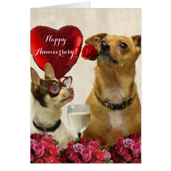 Happy Anniversary Chihuahua Dogs Card Zazzle Com