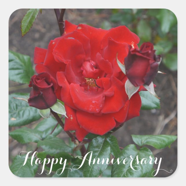 Happy Anniversary Crimson Bouquet #1 Stickers (Front)