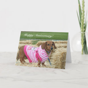 Happy Anniversary Dachshund greeting card