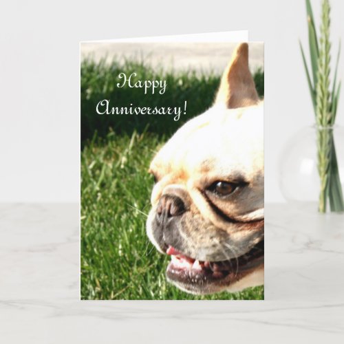 Happy Anniversary French Bulldog greeting card