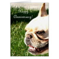 Happy Anniversary French Bulldog greeting card