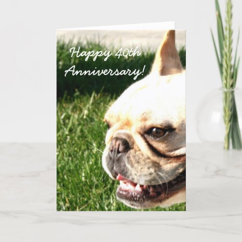 Happy Anniversary French Bulldog greeting card