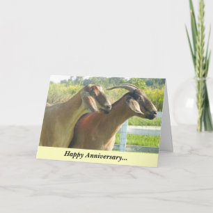 Happy Anniversary Goat/Kids Card