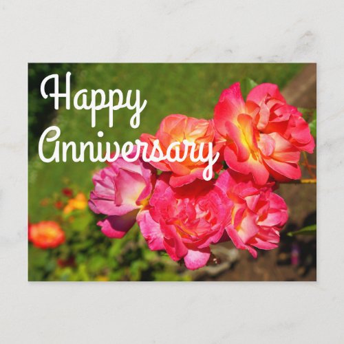 Happy Anniversary Josephs Coat Rose 1 Postcard