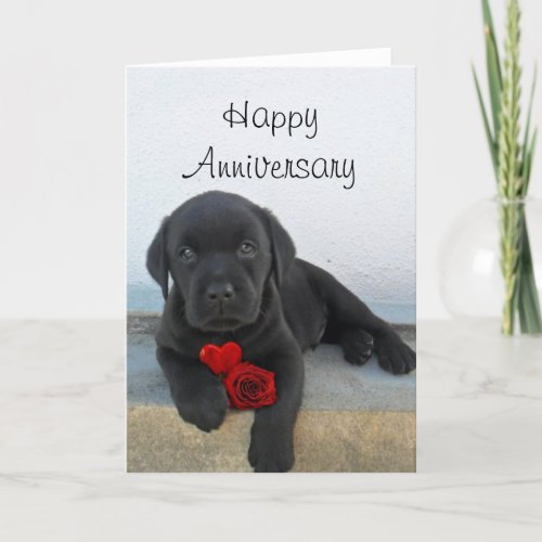 Happy Anniversary Labrador puppy greeting card