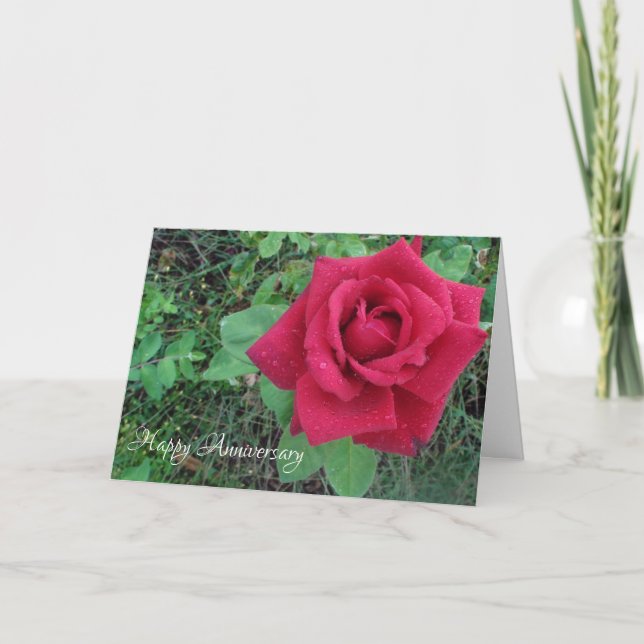 Happy Anniversary Love Red Rose Raindrops Card (Front)