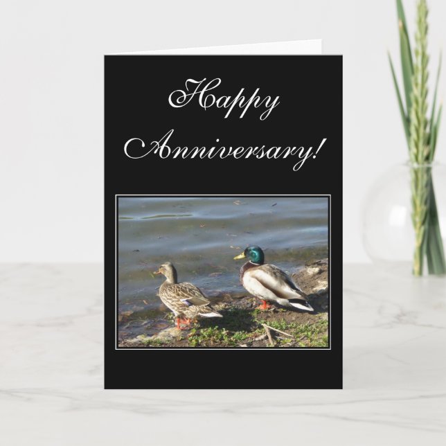 Happy Anniversary Mallard ducks greeting card (Front)