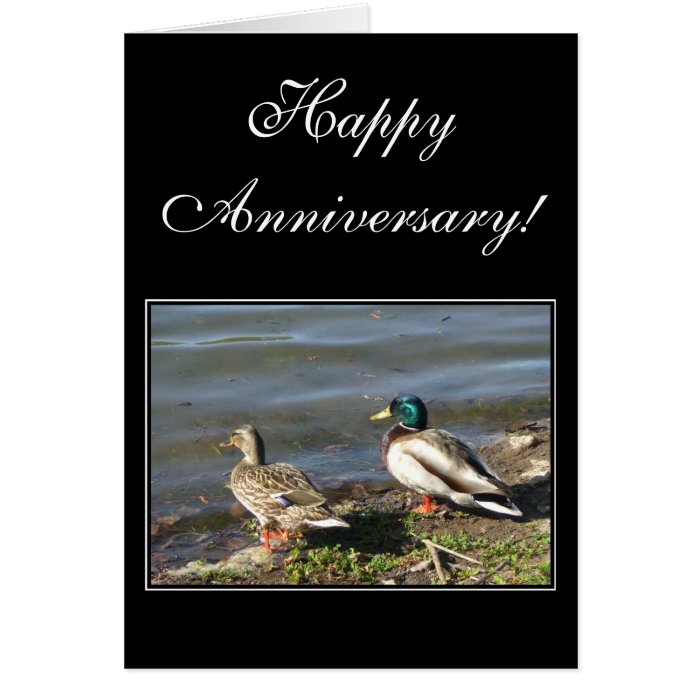 Happy Anniversary Mallard ducks greeting card