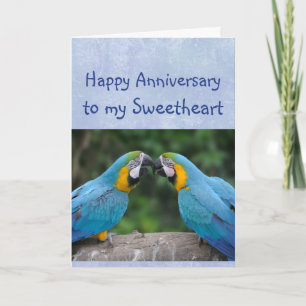 Happy Anniversary Parrot Sweetheart Love Card