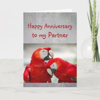 Happy Anniversary Partner Parrot Wife Love  Card by countrymousestudio at Zazzle