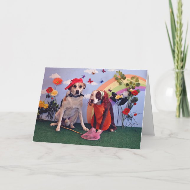 Happy Anniversary, photo of 2 dogs & butterflies Card (Front)