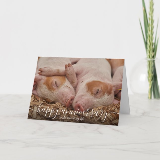 Happy Anniversary Pig Custom Card (Front)
