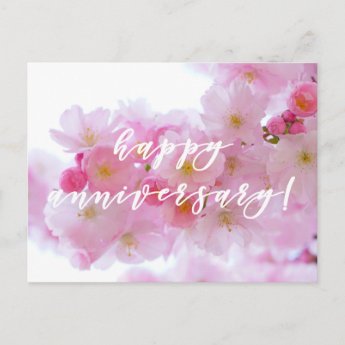 Happy Anniversary! Pink Cherry Flower - Photo